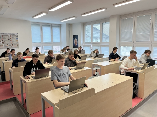 Kangur Języka Angielskiego